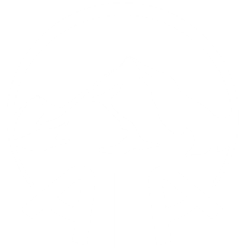 AIA.png