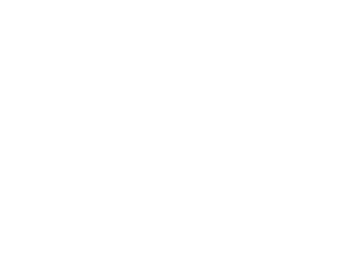 AIG.png