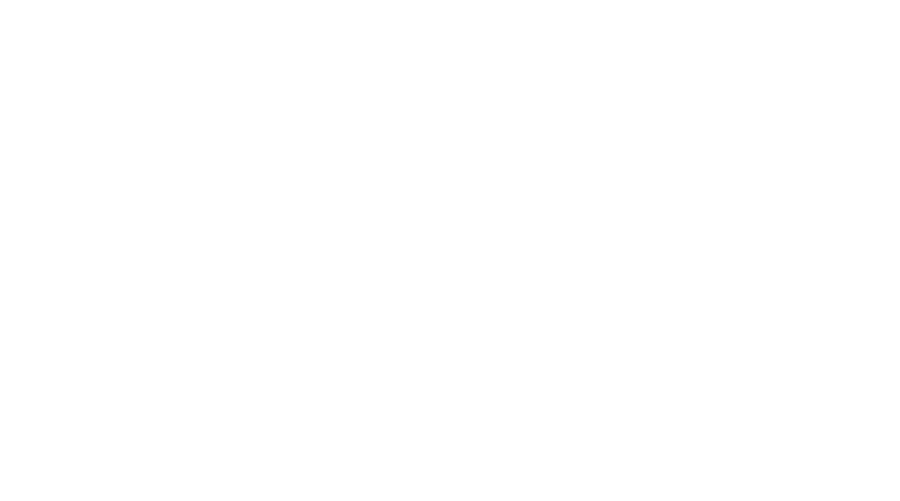 BOYDEN.png